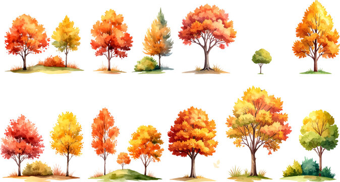 Vibrant autumn trees collection with colorful maple and oak leaves, perfect for fall nature designs