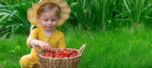 Child eating strawberries in the garden. Strawberries in a basket on a stump