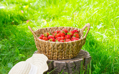 Strawberries in a basket on a stump against a garden background