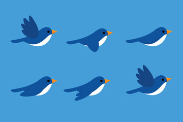 blue bird flying animation sequence