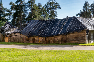 Abandoned Wooden Barns with Makeshift Plastic Roofs in Rural Forested Area. Old Decaying Timber...