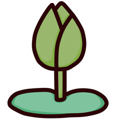 Flowers and freshness 