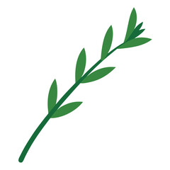 Fototapeta premium green leaves on white background