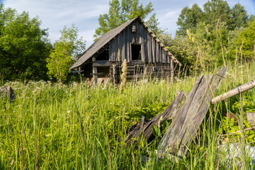 Abandoned wooden log cabin in overgrown summer meadow with wildflowers and collapsed wooden debris...