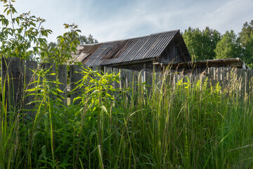 Old wooden fence and overgrown green vegetation in front of abandoned rural barn with weathered roof, surrounded by dense forest and summer sky in remote Latvian countryside