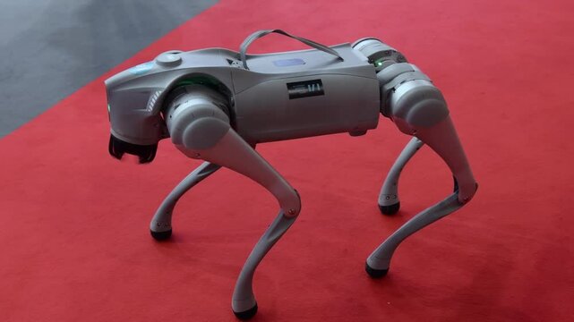 Autonomous Robot Dog Learns How to Move On Its Own Demo