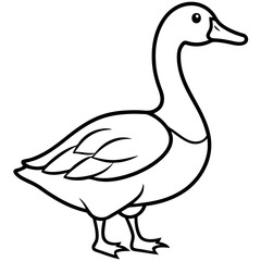 Simple Goose Contour