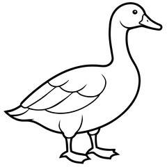 Simple Goose Contour