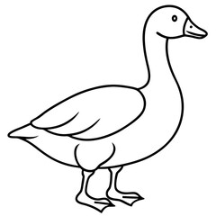 Simple Goose Contour