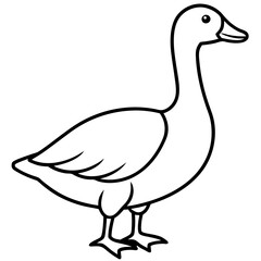 Simple Goose Contour