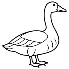Simple Goose Contour