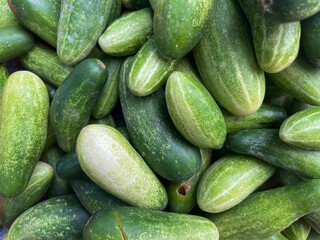 Fresh green cucumbers piled together, natural texture and vibrant color. Perfect for healthy food, market, or agriculture themes.