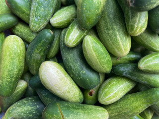 Fresh green cucumbers piled together, natural texture and vibrant color. Perfect for healthy food, market, or agriculture themes.