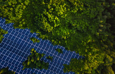 Solar panels park installed in green forest.Alternative energy is future.Solar panels generating...