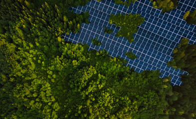 Solar panels park installed in green forest.Alternative energy is future.Solar panels generating...