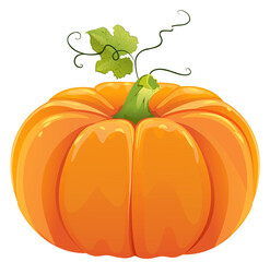 pumpkin on a white background