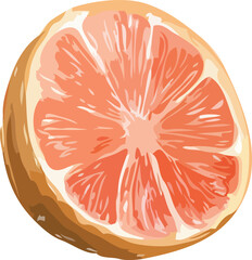 Orange sliced vector art