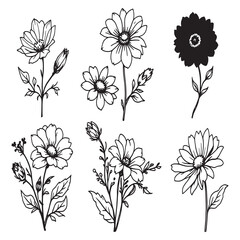 BloomFest elegant botanical line drawing vector illustration