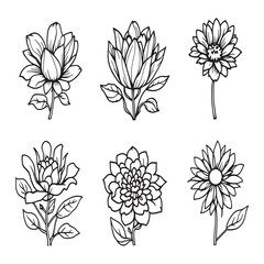 BloomFest spring floral celebration line art vector design