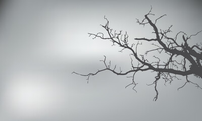 Realistic shadow of tree branch. plant leaves shadows isolated on black and white gradient background. plant branch shade, foliage silhouette decoration. Design element for summer spring projects,