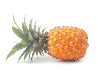 Nanas. Pineapple (Ananas comosus) is a tropical plant with edible fruit and the most economically important plant in the Bromeliaceae family.