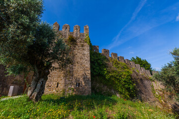 A stone tower emerges from dense greenery