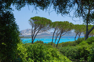 Panoramic View of the island of Sardinia, Italy. Sardinia is a small island in the Mediterranean Sea.