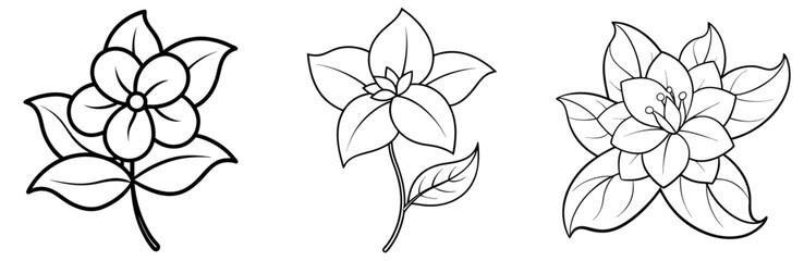 Obraz premium Jasmine Flower Coloring Page - Fragrant Blossom Line Art Outline for Kids and Adults
