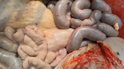 Raw beef offal - fresh cow innards like liver, heart, and tripe. A close-up of organic meat cuts for food, health, and culinary use. Ideal for butchery, dishes, and farm themes
