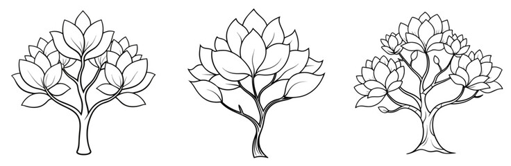 Obraz premium Magnolia Tree Coloring Page - Elegant Blossom Line Art Outline for Kids and Adults