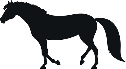 Obraz premium Appaloosa horse silhouette illustration