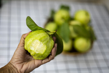 Holding A Green Guava In Hand