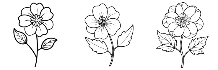 Potentilla Flower Coloring Page - Delicate Blossom Line Art for Kids and Adults
