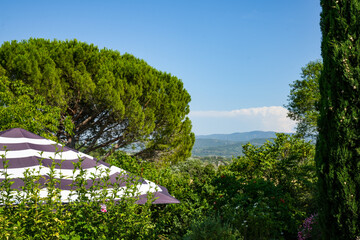 A striped parasol (purple and white) in front of an emerald green swimming pool in Provence...