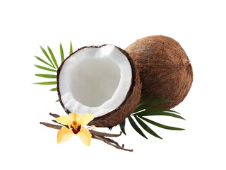 Fresh tropical coconut fruit, halved and isolated on a white background, revealing its healthy milk and brown shell