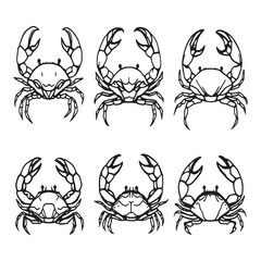 Detailed minimalist line art crab illustration for design