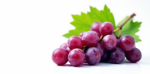 Fototapeta premium Single bunch of purple grapes with vibrant green leaf , design, autumn