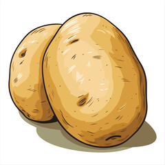 Two fresh hand-drawn potatoes ready for cooking