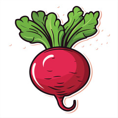 Vibrant Radish Illustration with Fresh Green Leaves