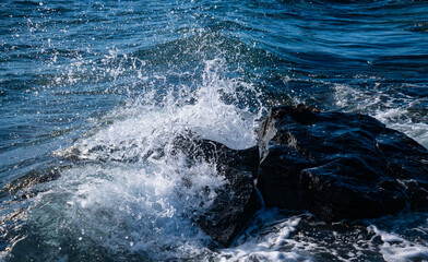 Black lava rock in the surf at the “Pointe aux Piments” in the west of the tropical vacation paradise of Mauritius (Indian Ocean). Breaking wave pano with water droplets, splashes, foam and spray. 