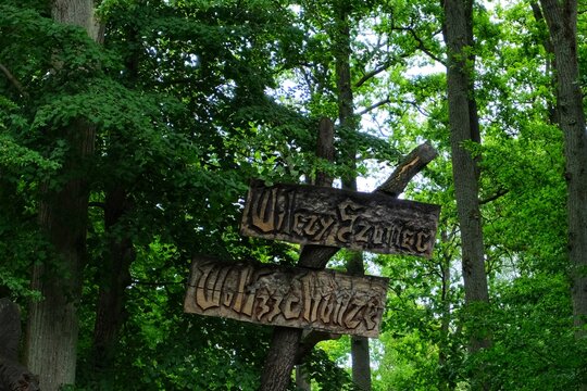 Entrance of a park with abandoned military bunkers in the forest on a sunny summer day, Wilczy Szaniec, Mazury, Poland