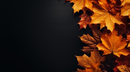 Vibrant autumn leaves against a dark concrete backdrop with ample copy space available