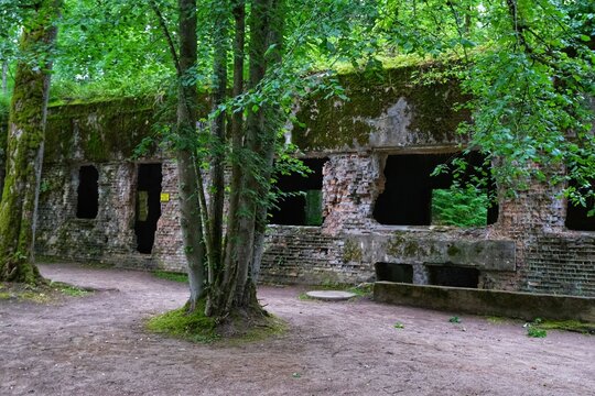 Abandoned military bunker in the forest on a sunny summer day, Wolf's Lair, Mazury, Poland