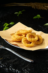 Fast food gourmet fried chicken onion rings