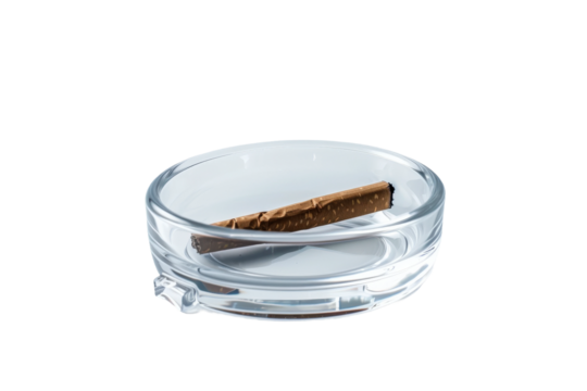 Minimalist round ashtray with brown cigar placed neatly inside.
