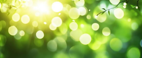 Obraz premium A Serene Morning Light Filtering Through Lush Green Foliage, Creating Bokeh Effects and Illuminating the Natural Beauty of the Vibrant Environment