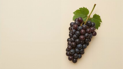 A bunch of dark purple grapes with leaves.