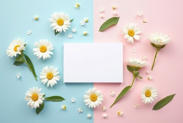 White daisies and green leaves surround a blank card on a pink and blue pastel background, evoking a fresh spring or summer feel, horizontal composition