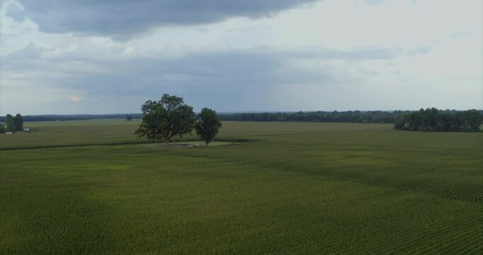 Scenic Aerial Shot of Southern Farmland and Countryside in Natchitoches, Louisiana
