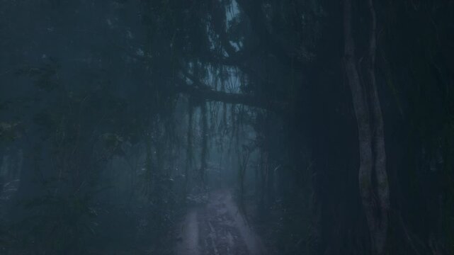 The road of rain in the tropical forest in the morning, loop video